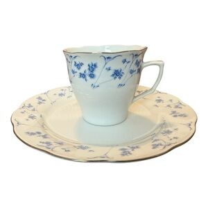 Blue Floral Tea Set Cottagecore Teacups Shabby Chic Party for 2-3 Perugino China